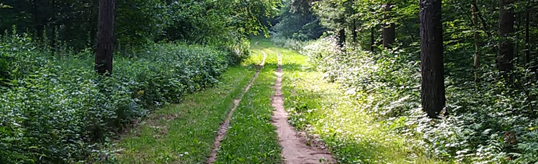 Uxbridge Woodlands Loop 184 Reviews, Map Ontario, Canada AllTrails