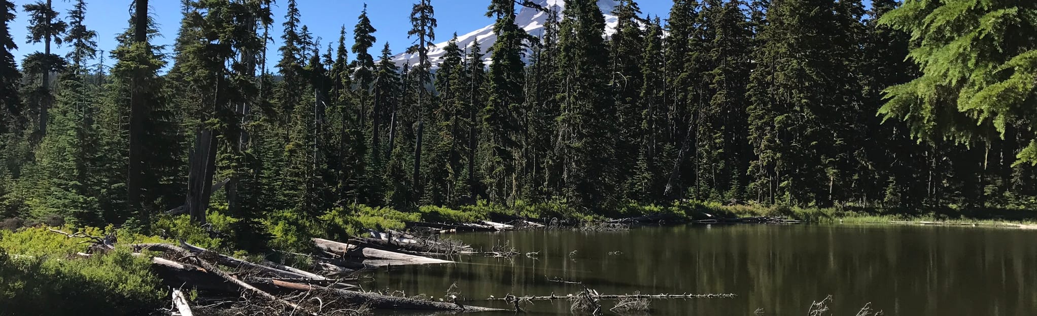 Teacup Nordic Lakeside Trail and Nordic Way CrossCountry Ski 67