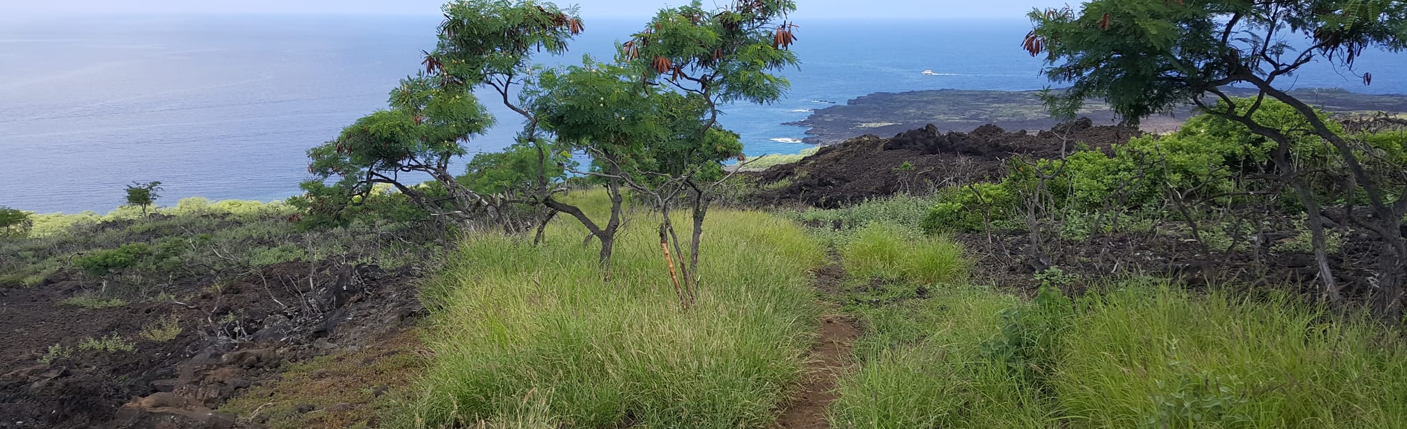 Ka'Awaloa Captain Cook Monument Trail 2307 Reviews, Map Hawaii