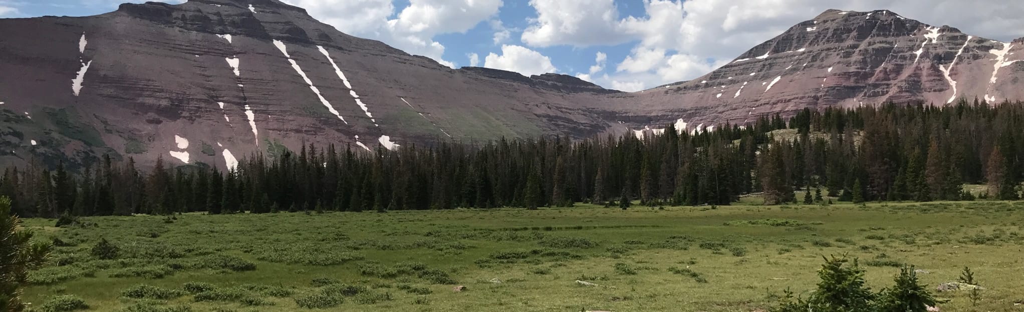 Dead Horse Lake via East Fork Blacks Fork Trail 115 foto's Utah