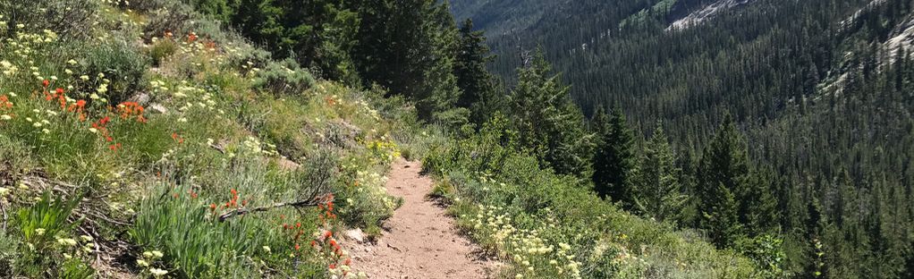 Alpine Way to Stanley Lake Trail, Idaho - 9 Reviews, Map