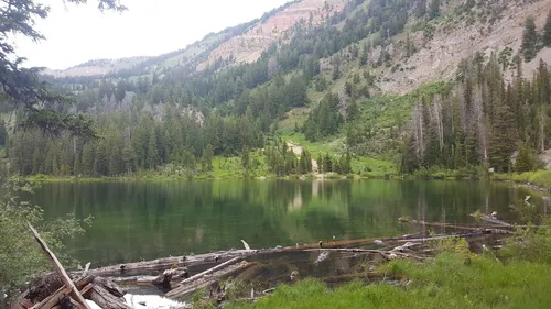 Best Forest Trails in Grover AllTrails