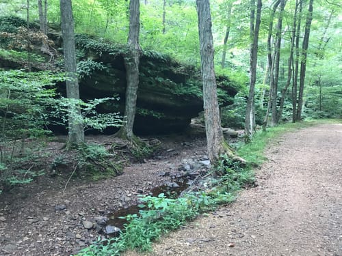 Ferne Clyffe State Park Map Best 10 Trails In Ferne Clyffe State Park | Alltrails