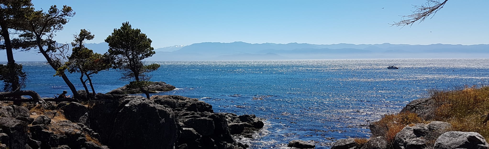 Aylard Farm to Cabin Point via Coast Trail, British Columbia, Canada 68 Reviews, Map AllTrails