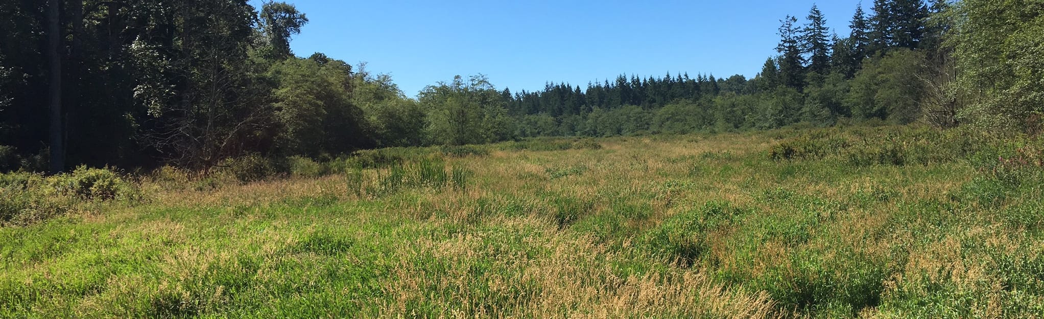 Little River Extended Loop, British Columbia, Canada - 448 Reviews, Map ...