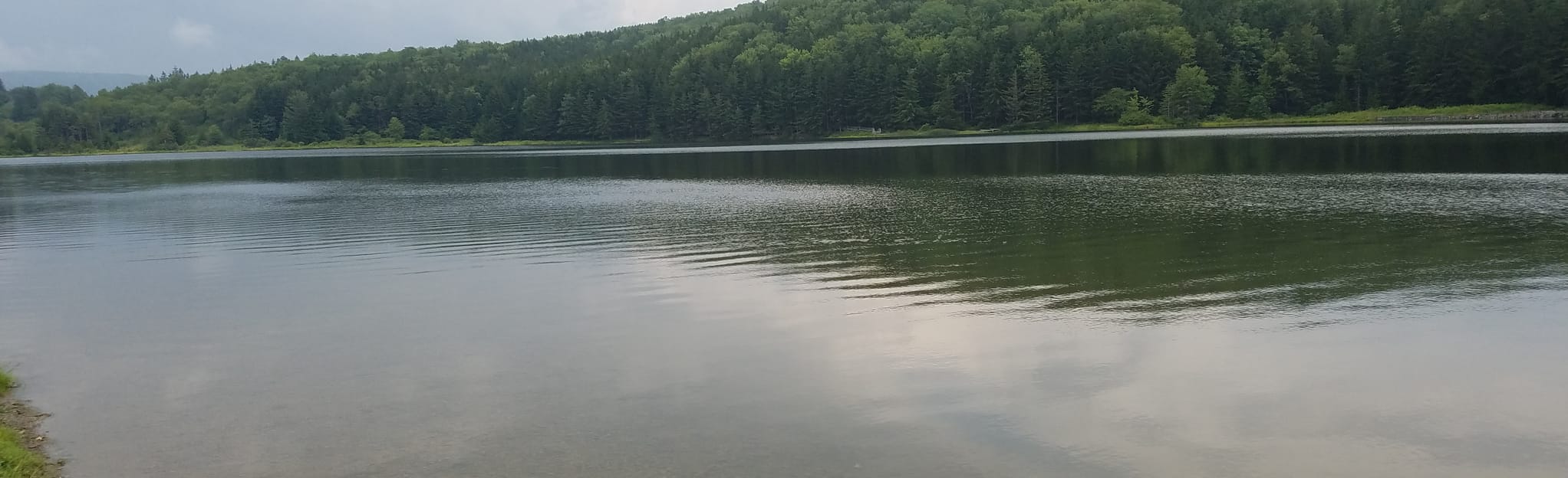 Spruce Knob Lake 79 Reviews, Map West Virginia AllTrails