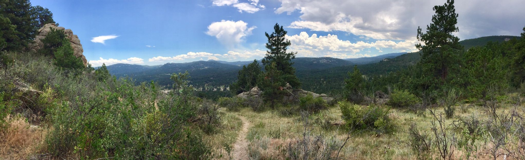 Hidden Fawn to Mount Muhly Trail Loop - Colorado | AllTrails