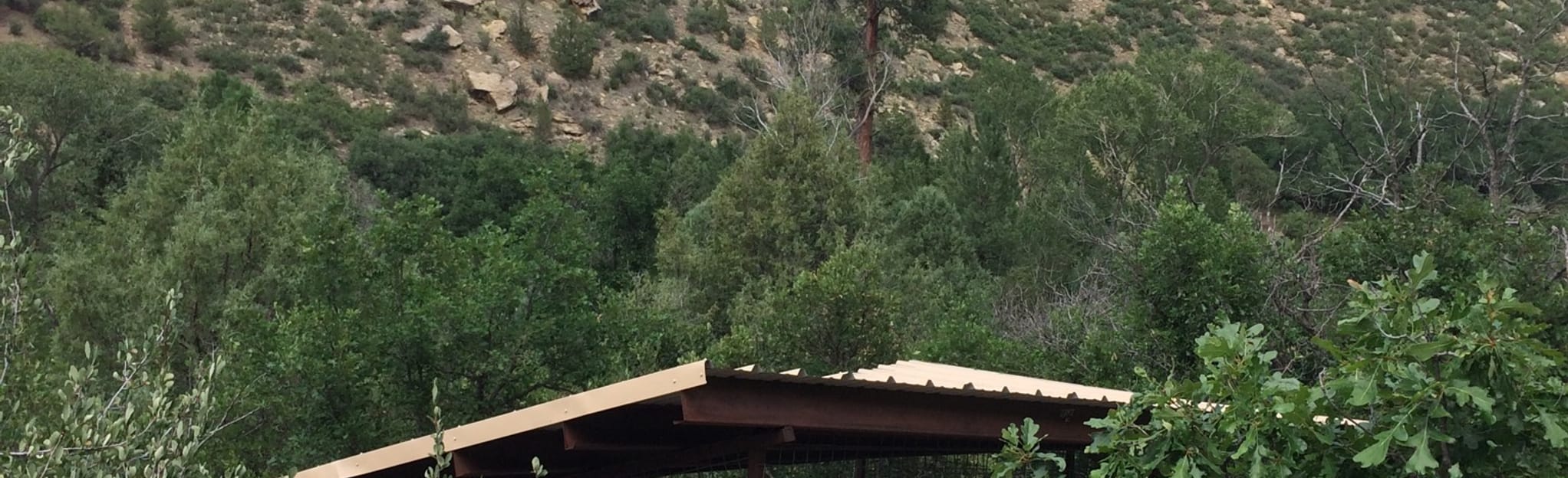 Campos Heck T Rex Track Trail [PRIVATE PROPERTY] 38 Reviews, Map