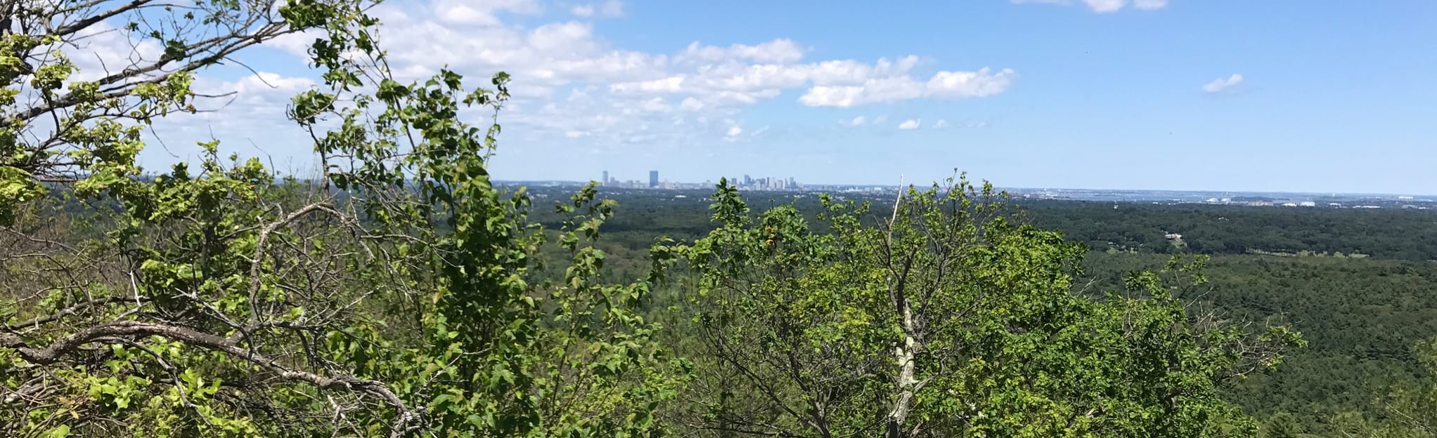 Hancock Hill and Jeffries Trail - EyJidWNrZXQiOiJhc3NldHMuYWxsdHJhaWxzLmNvbSIsImtleSI6InVwbG9hZHMvcGhvdG8vaW1hZ2UvMTk0OTUyNTQvZmI5NGNjMjIxMjc5NmMwYzZhOWVjNTVhMTA4MDdjOGUuanBnIiwiZWRpdHMiOnsidG9Gb3JtYXQiOiJqcGVnIiwicmVzaXplIjp7IndpZHRoIjoyMDQ0LCJoZWlnaHQiOjYyNCwiZml0IjoiY292ZXIifSwicm90YXRlIjpudWxsLCJqcGVnIjp7InRyZWxsaXNRdWFudGlzYXRpb24iOnRydWUsIm92ZXJzaG9vdERlcmluZ2luZyI6dHJ1ZSwib3B0aW1pc2VTY2FucyI6dHJ1ZSwicXVhbnRpc2F0aW9uVGFibGUiOjN9fX0=