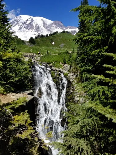 Paradise Falls, Pierce County, Washington - Northwest Waterfall Survey