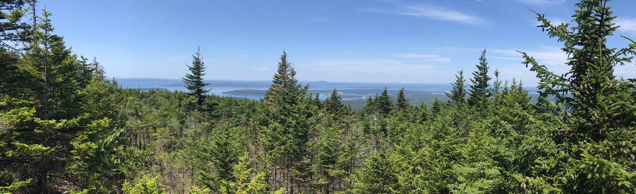 Bernard Mountain Trail 64 Reviews, Map Maine AllTrails