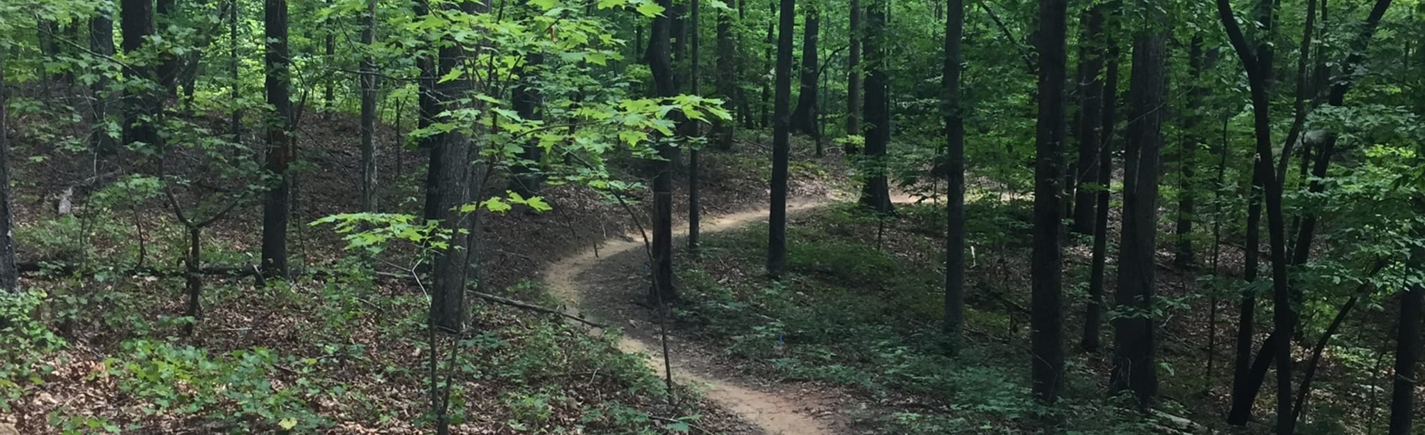 Pleasant Ridge JFA Trail, South Carolina - 847 Reviews, Map | AllTrails