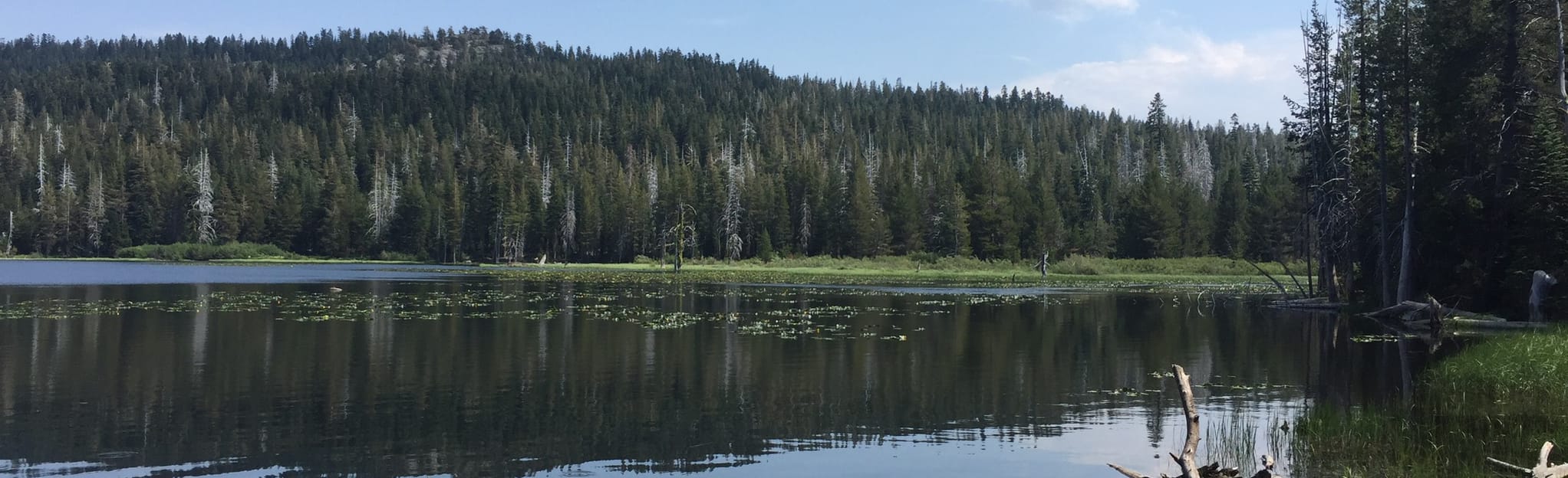 Lily Lake and Miller Creek Trail, California 105 Reviews, Map AllTrails
