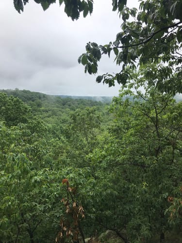 Best Hikes and Trails in Seth Low Pierrepont State Park Reserve AllTrails