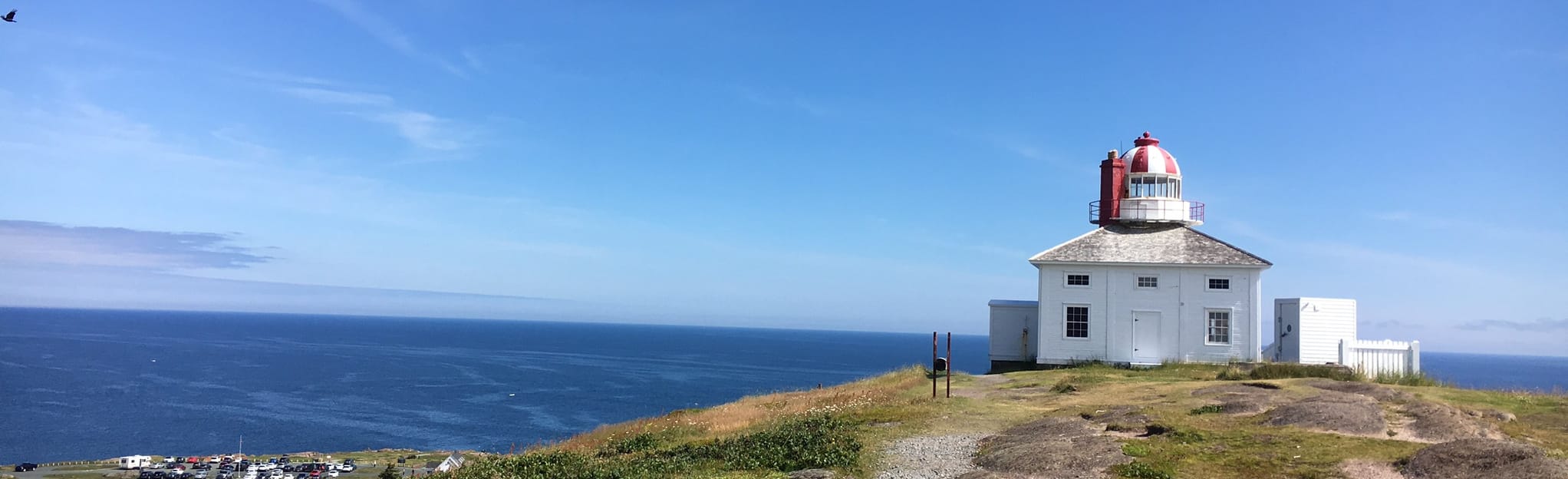 Maddox Cove to Cape Spear 211 Reviews, Map Newfoundland and Labrador