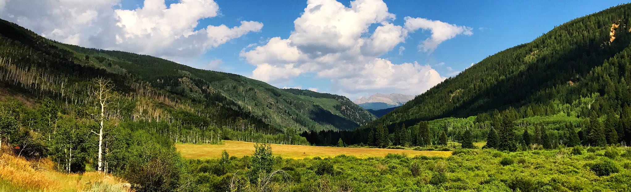 Hunter Creek Trail, Colorado 309 Reviews, Map AllTrails