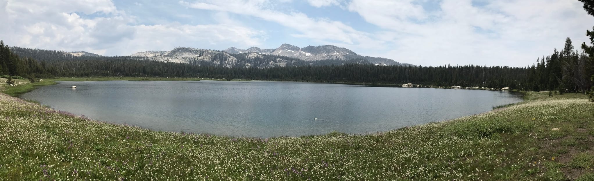 Cliff Lake via Dinkey Lakes Trail, California - 57 Reviews, Map | AllTrails