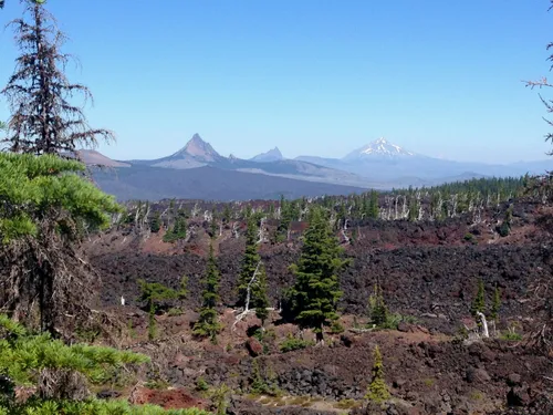 10 Best Hikes and Trails in Three Sisters Wilderness | AllTrails