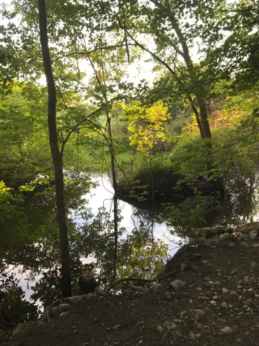 THE BEST 10 Hiking in Waltham, MA - Last Updated November 2023 - Yelp