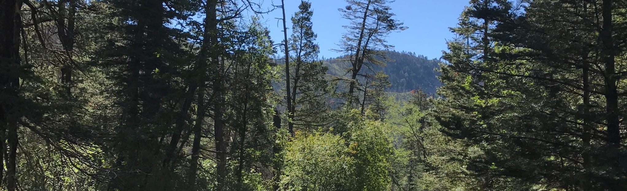 North Eagle Creek Trail, New Mexico 90 Reviews, Map AllTrails