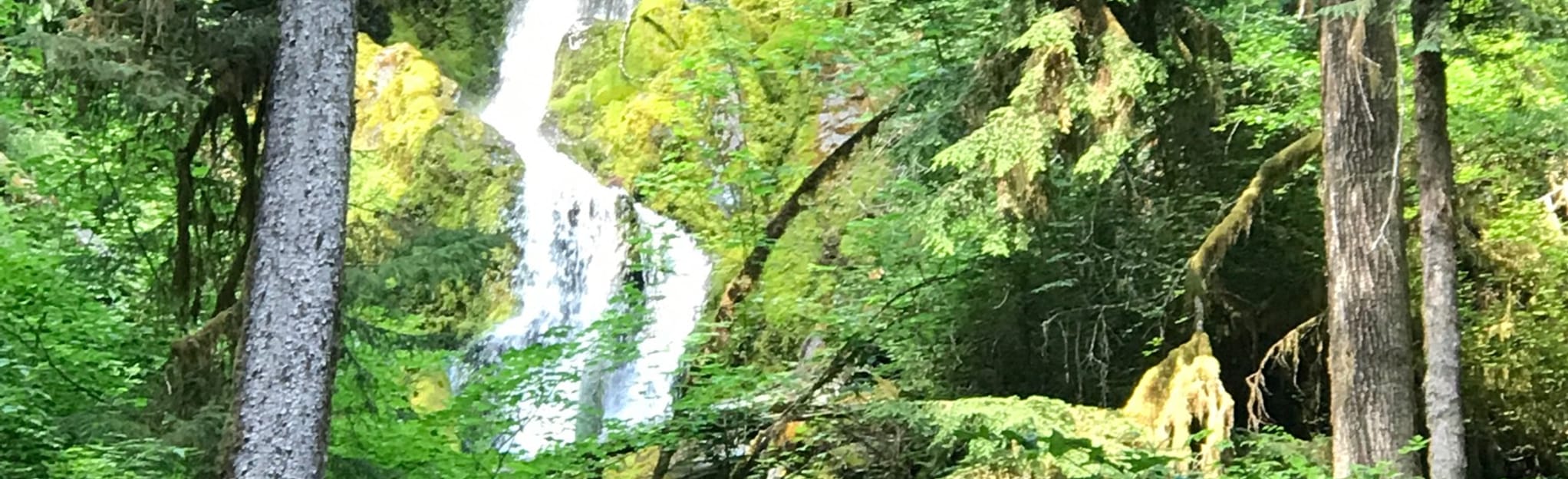 Hoh Lake via Hoh River Trail 45 Reviews, Map Washington AllTrails