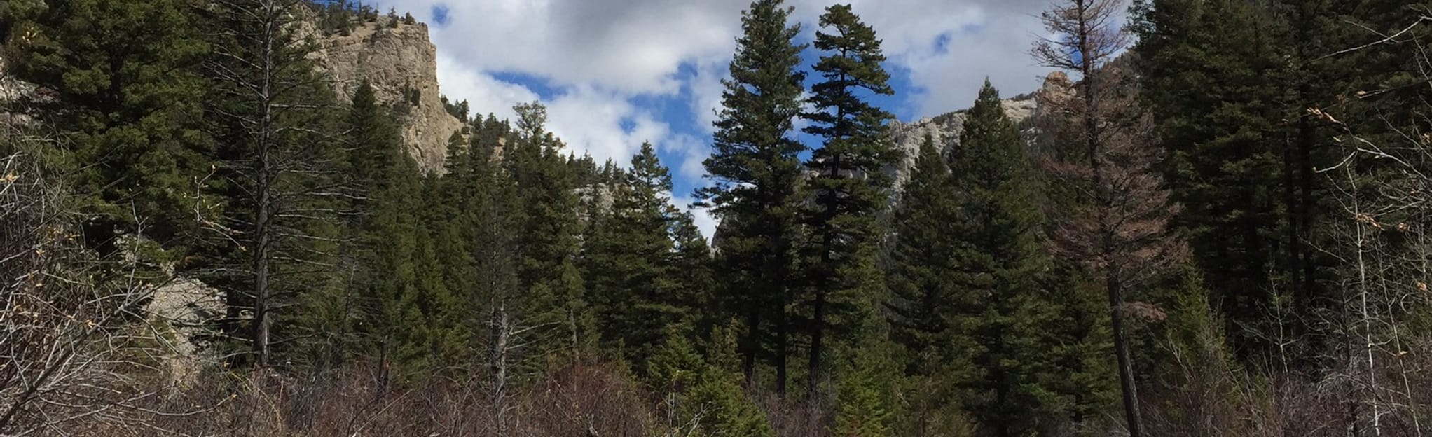 Trout Creek Canyon, Montana 266 Reviews, Map AllTrails