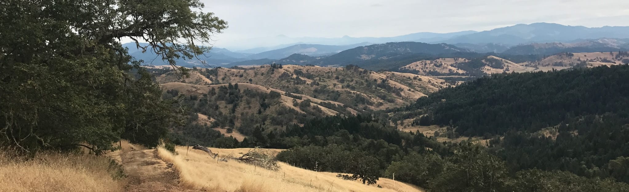 Thistle Ridge, Middle Ridge, and North Gate Loop, Oregon - 53 Reviews ...