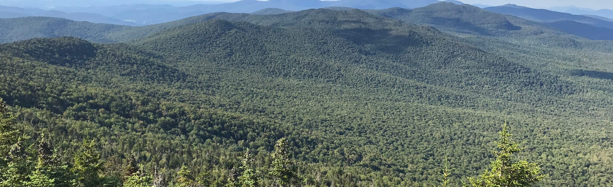 Belvidere Mountain via Frank Post Trail, Long Trail, and Forester Trail, Vermont 66 Reviews