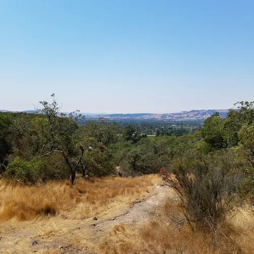 Best Hikes and Trails in Sonoma AllTrails
