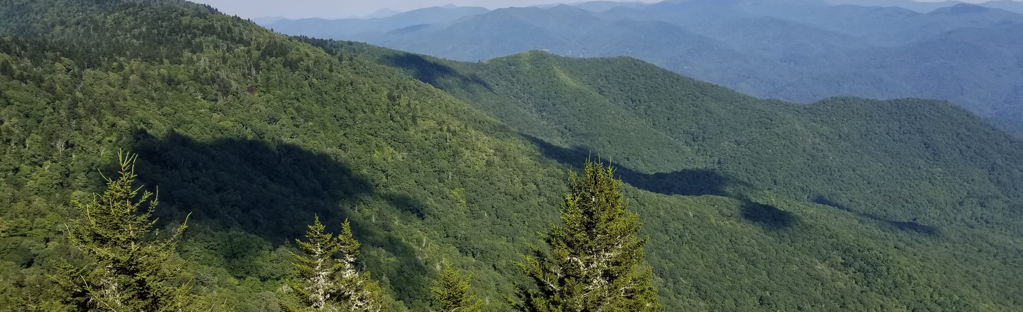 Blackrock Mountain Trail, North Carolina 673 Reviews, Map AllTrails