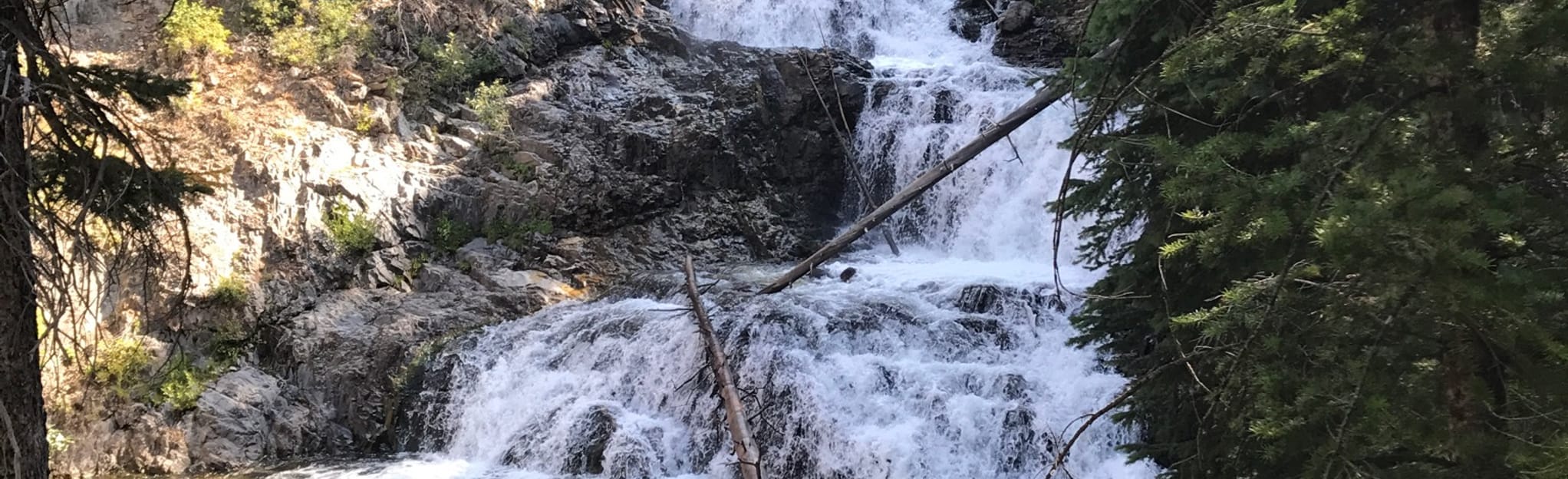 Fall Creek Waterfall Trail: 9 Reviews, Map - Idaho | AllTrails