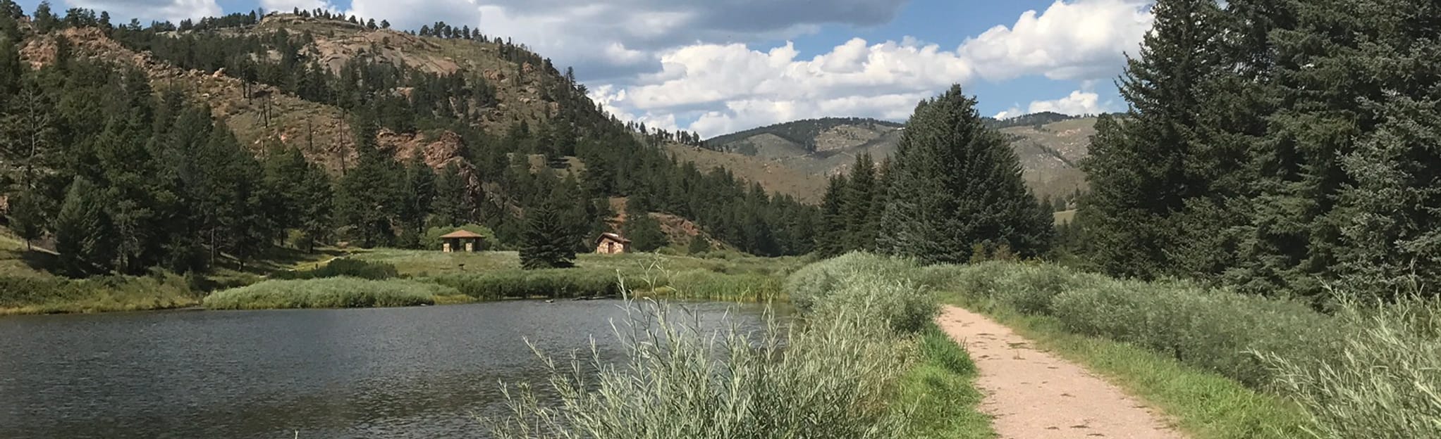 Buck Gulch and Strawberry Jack Loop Map, Guide Colorado AllTrails