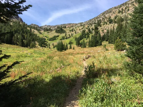 10 Best Hikes And Trails In Wallowa Whitman National Forest | AllTrails