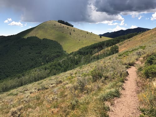 Deer Valley Hiking Trails Best 10 Trails In Deer Valley Resort | Alltrails