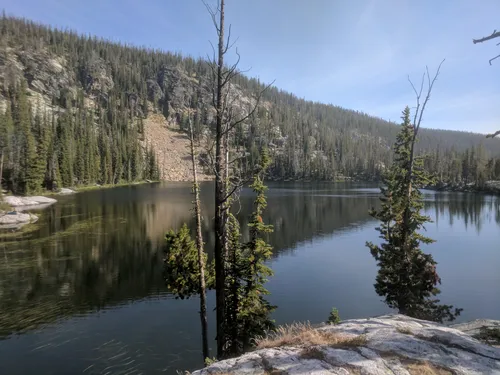 10 Best Wild Flowers Trails in Bitterroot National Forest | AllTrails