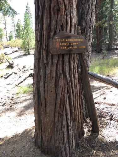 Lewis camp trailhead hotsell