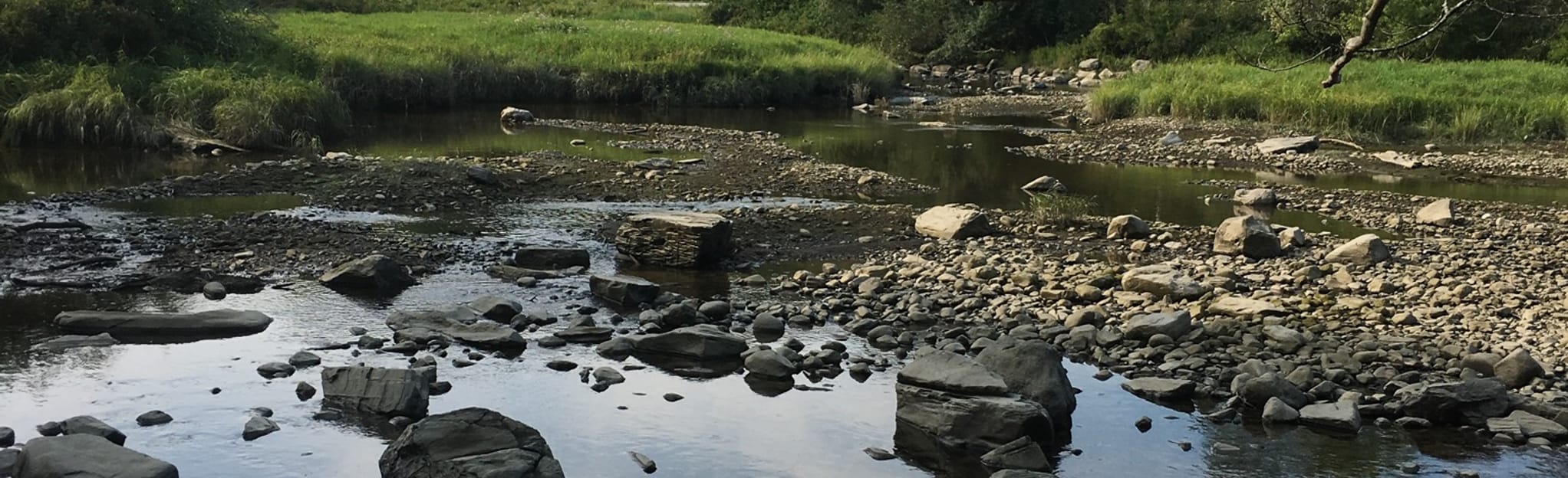 Woods and River Trail Loop, Maine 101 Reviews, Map AllTrails