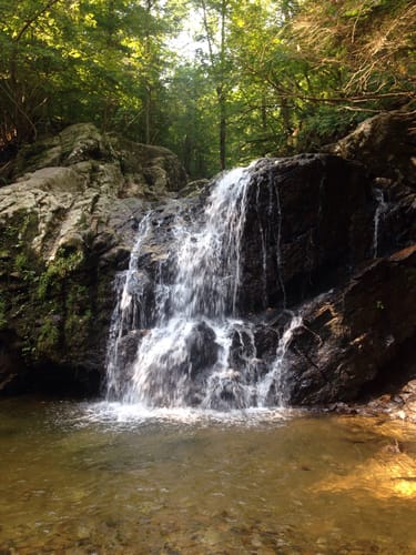 Patapsco State Park Hiking Best 10 Trails In Patapsco Valley State Park | Alltrails