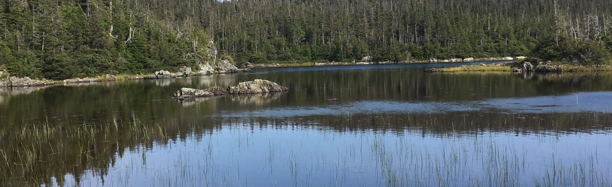 Lac Cascapedia to Saule 5 Reviews, Map Quebec, Canada AllTrails