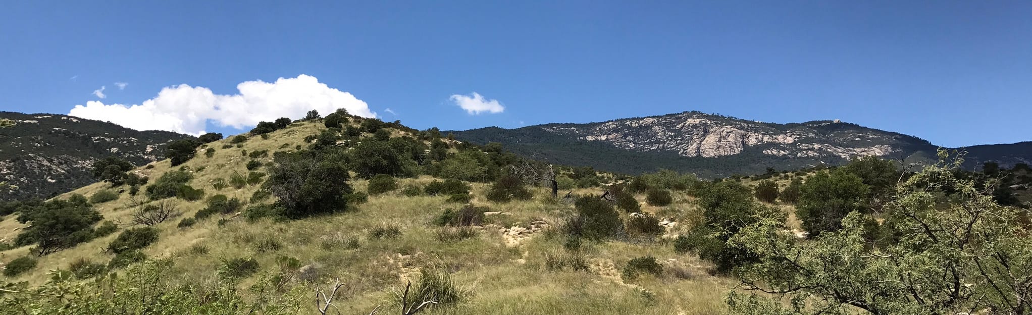 Turkey Creek, Arizona 25 Reviews, Map AllTrails