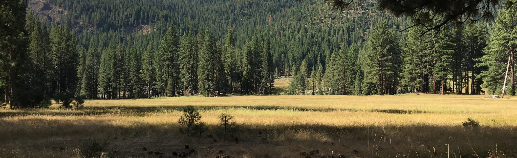 Burnside Lake Trail to Buck Creek 18 Reviews, Map California AllTrails