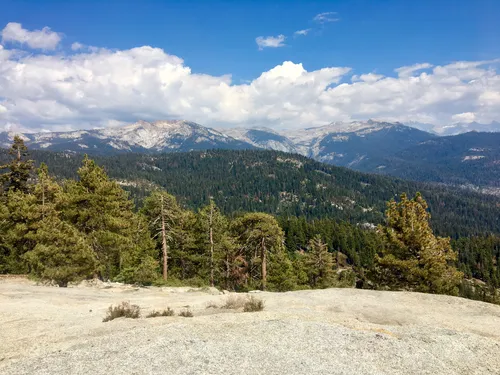 Easy hikes in 2025 sequoia national park