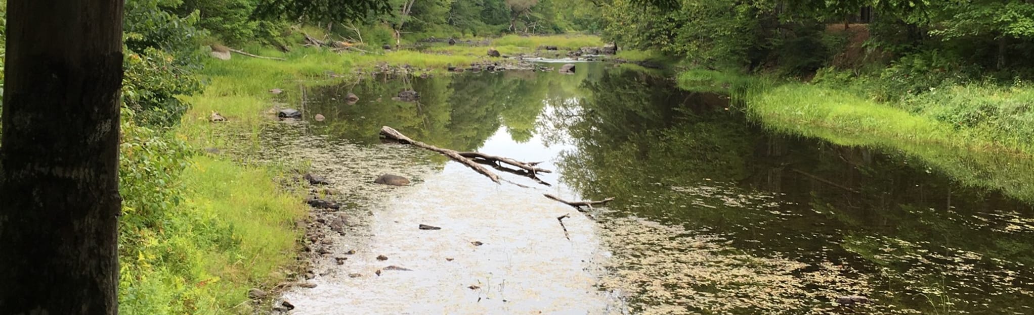 Happy Farm River Trail, Maine 24 Reviews, Map AllTrails