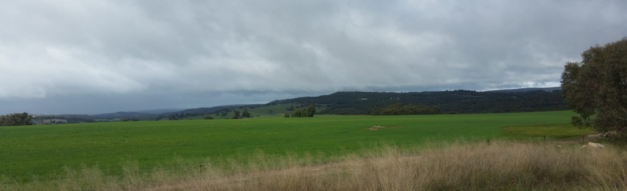 Kep Track Northam to Bakers Hill, Western Australia, Australia 15