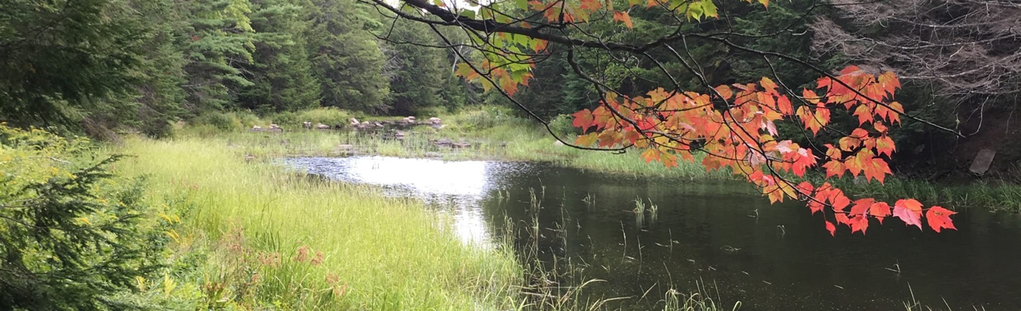 AllTrails Sheepscot West Branch Trail 43 Reviews, Map Maine