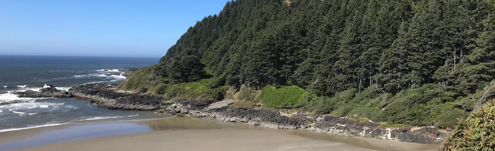 Cape Cove Trail, Oregon 45 Reviews, Map AllTrails