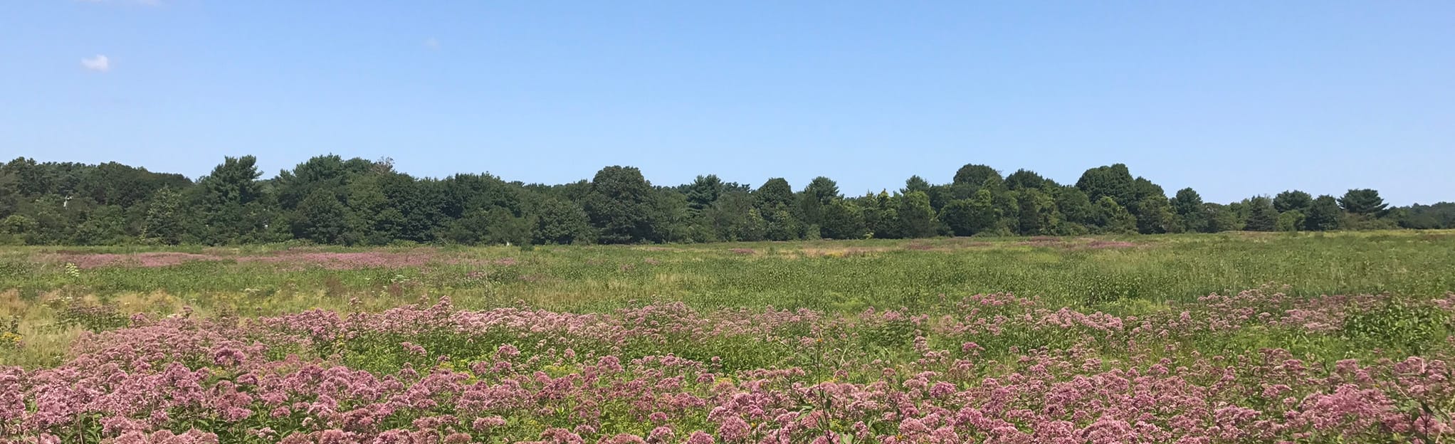 Bay Farm Conservation Area, Massachusetts 133 Reviews, Map AllTrails