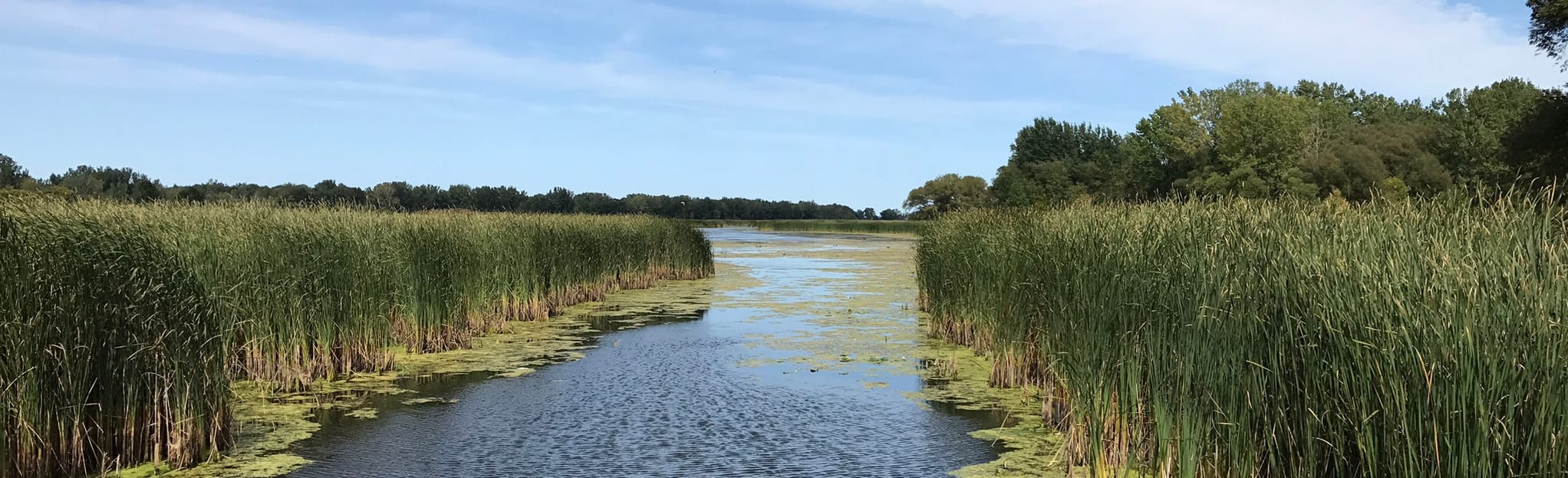 Beatty Point Trail, New York 194 Reviews, Map AllTrails