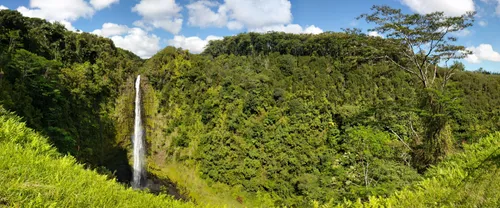 10 Best Trails and Hikes in Hilo