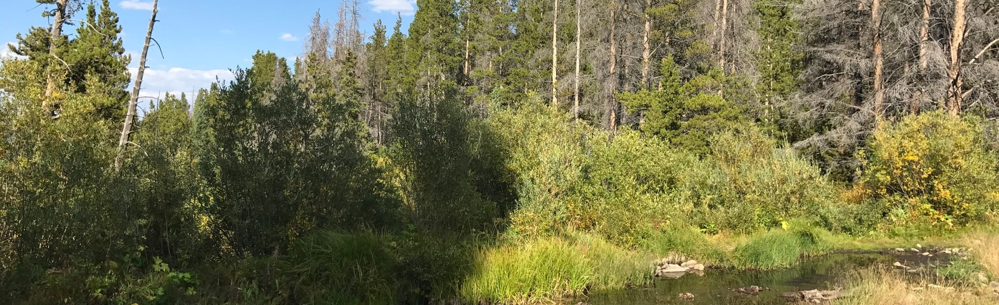 Peak 10 and Crystal Lake Rd Loop Map, Guide Colorado AllTrails